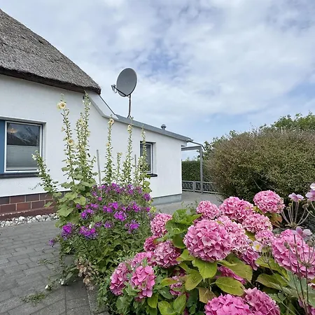 Haus An Der Wiek Mit Terrasse Ferienhaus Gager